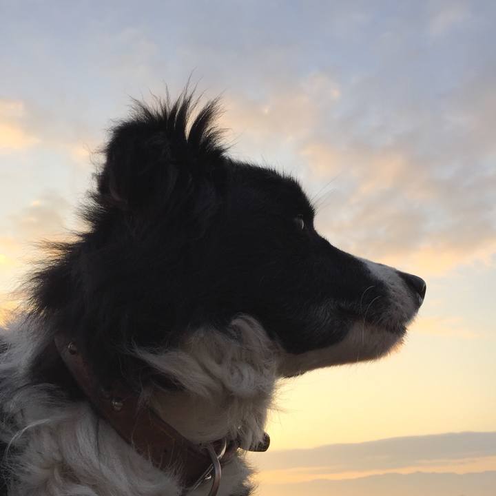 D84f4c0c 1de7 4934 8ff9 6340017665dc 1516056396192