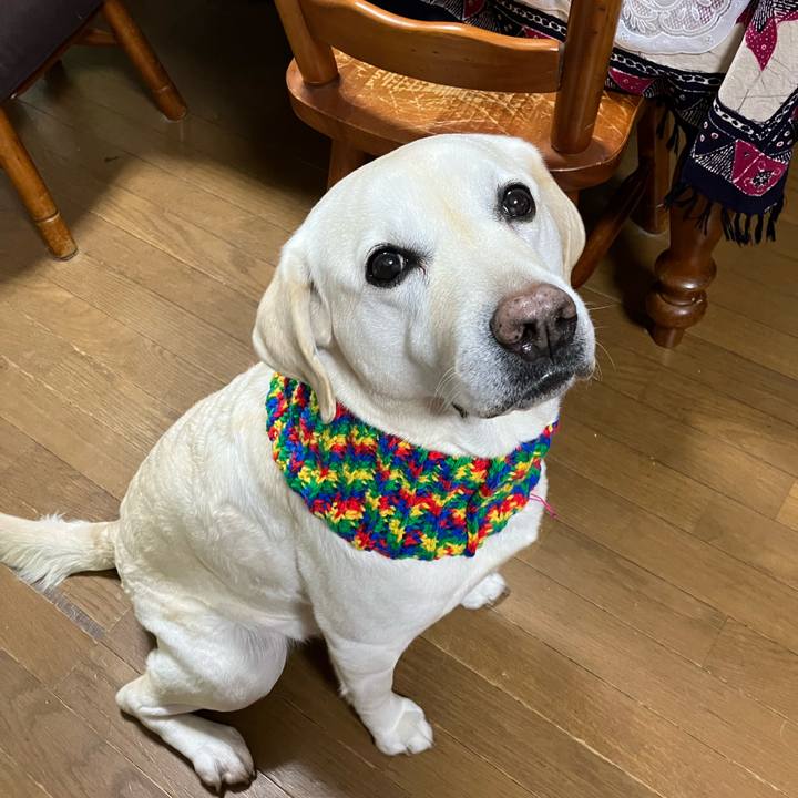 D84f5f34 c880 41c9 99ba b3a77092d998 1674910132511