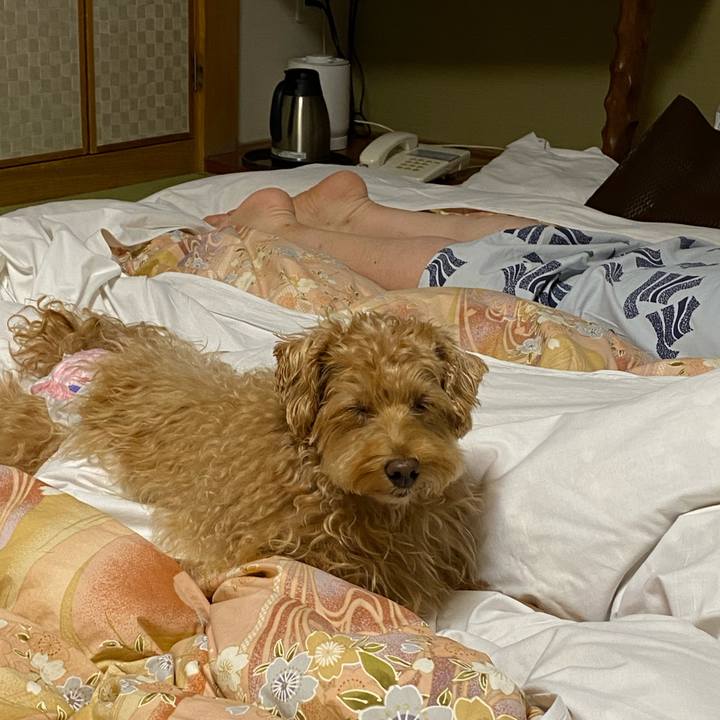 D84f8340 12a8 4a33 aa8f 1dbddc9836aa 1635499410263