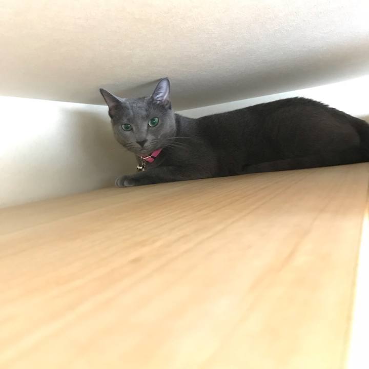 D84f8c15 0ac8 4b7c 83be 179df191f46b 1538805401465