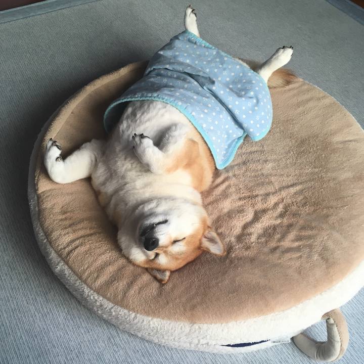 D84fabaa 92dd 4446 931f 24f6cbe9e46c 1600728704960