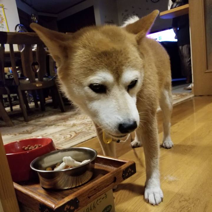 D84fd98c 715a 4985 a9f7 aaac7f91c3f2 1564310038820