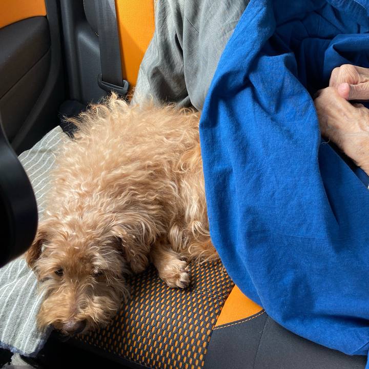 D84fefc3 0852 4916 af8b d1fa467f5c84 1695727457858