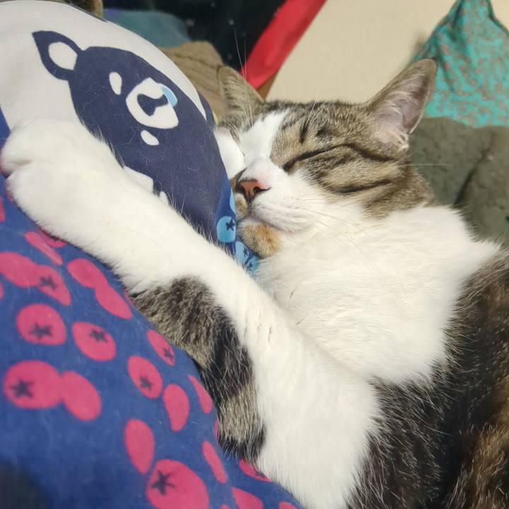 D84ff05a a065 4164 9659 ff03a3e57c69 1745893005168