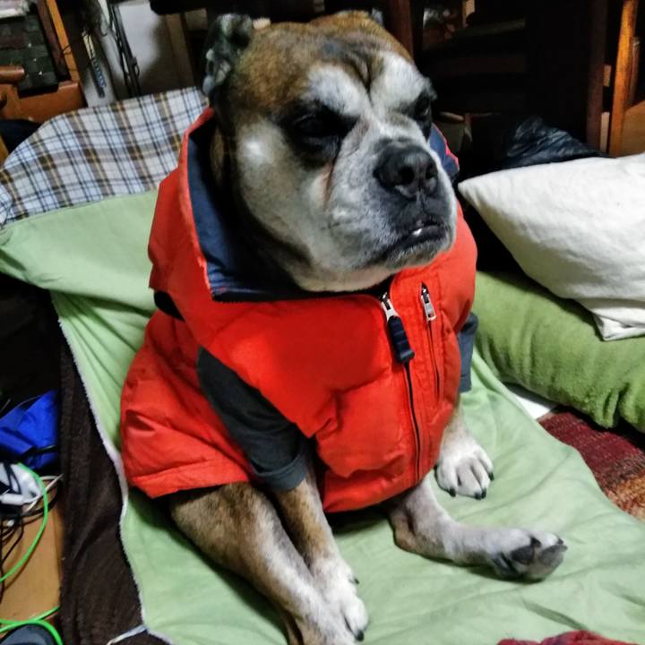 D8500551 113c 49ba b958 3be1e61947fb 1545395527784