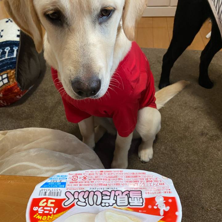 D85007dc d58c 4746 8fee f3c0a137ab97 1619605784674