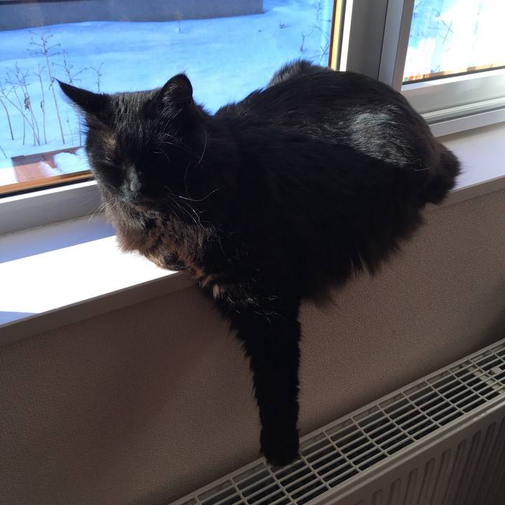 D8501447 380b 4d09 b3fc 44d440b3ada1 1515651053270