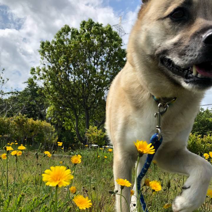 D8501552 fa12 4579 99ae 8bc7b1d48e65 1619938365017