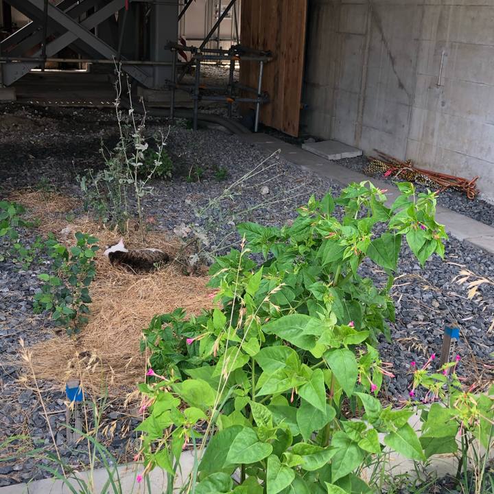 D8501fb4 4c4a 4b53 87d4 a95c0e5126f8 1593518944267