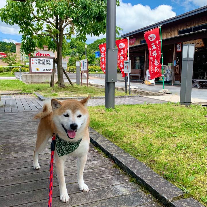 D8501fc1 e5dc 4f20 b1c7 45923381fa0e 1686905586723