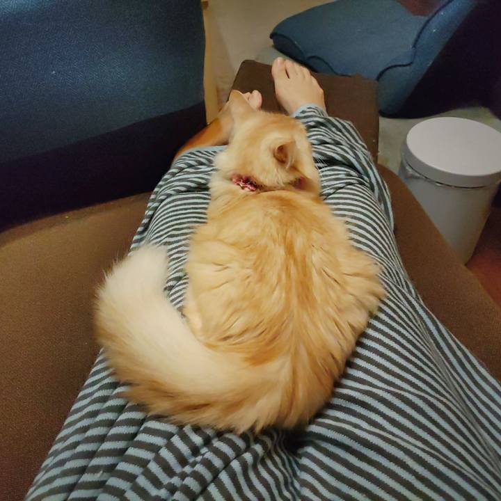 D85050fd b705 495c bc71 d6f425ebc498 1665236317435