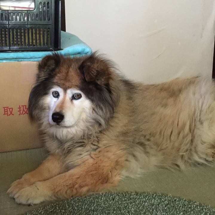 D8506cbc f21e 4770 9558 873c644c92c5 1595399817021