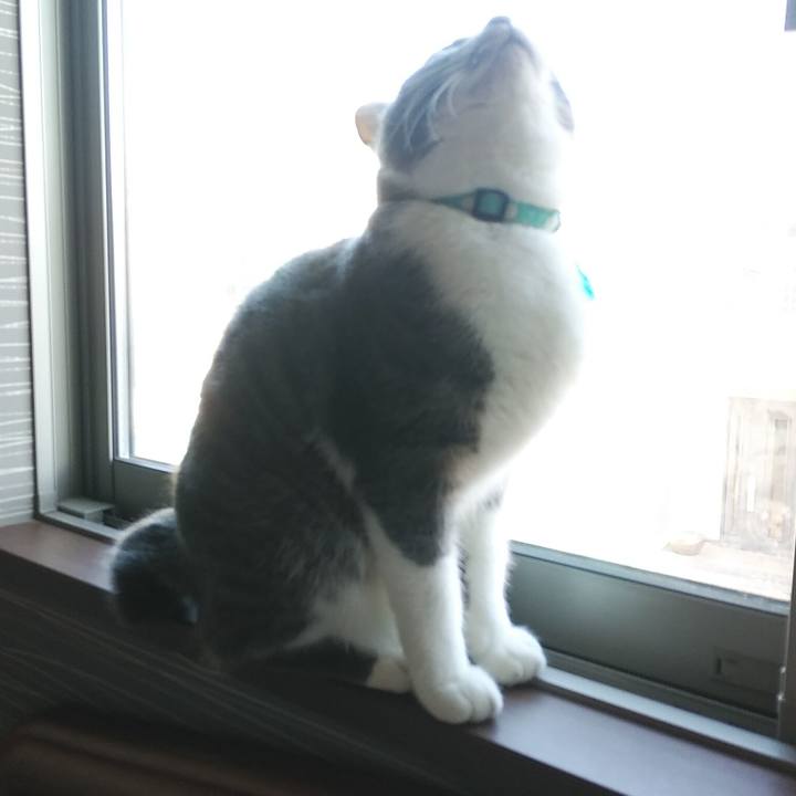 D8508c3c 66c9 4ae2 aabf ca50c0a23a11 1582067616917