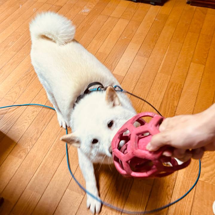 D850946e 89af 44e9 8b17 1d3b13f23ddc 1722559248961