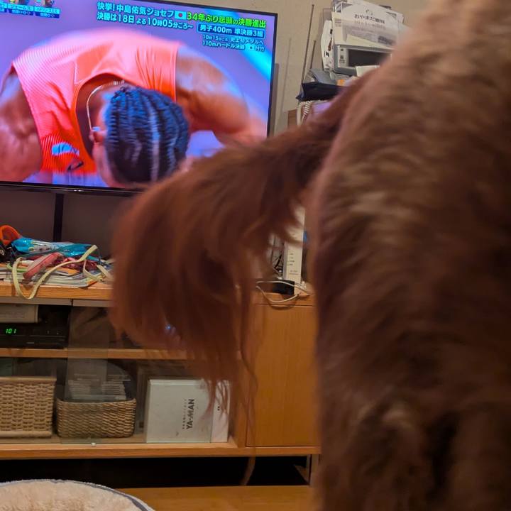 D850c25a 5691 42e4 adb3 0b02516f2c35 1758027630595