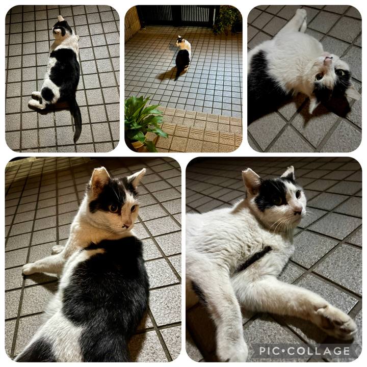 D850e106 8e74 43f5 9c78 d2ad2451727e 1776499584339