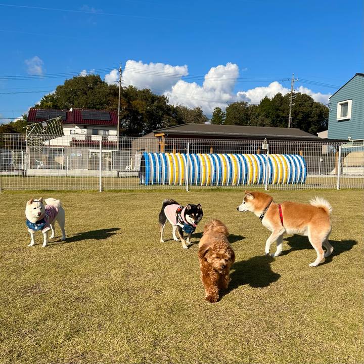 D850e153 c706 4b77 b9b4 1d31446533e5 1731056382263