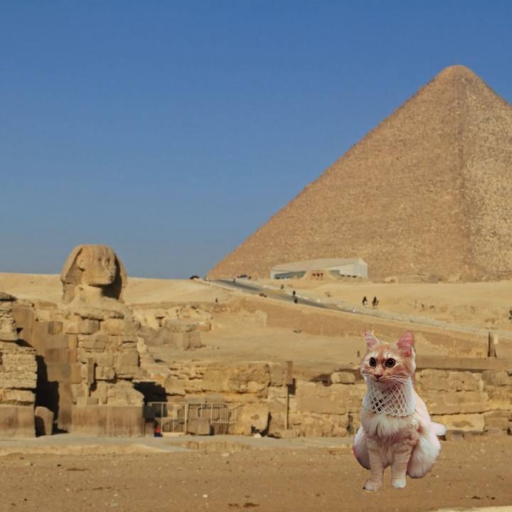 D8513767 c869 493c b5c7 51d96496a377 1655165886764