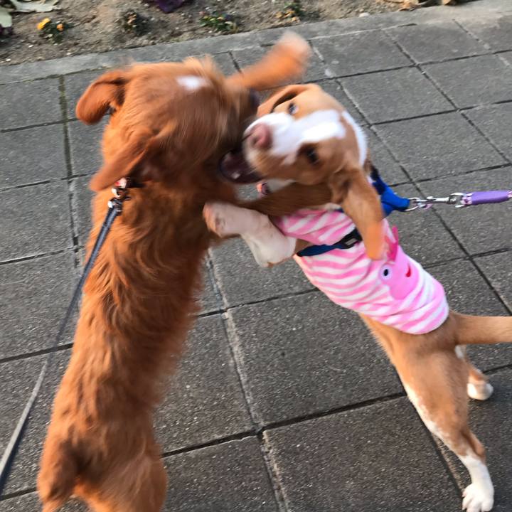 D8514e8f 6412 48e4 aa65 5c5c451a8159 1551774916149