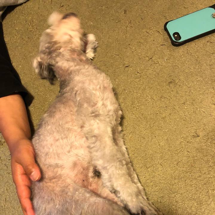 D851505c 4fd9 46cb 817d fd7d2adb6c49 1529921502654