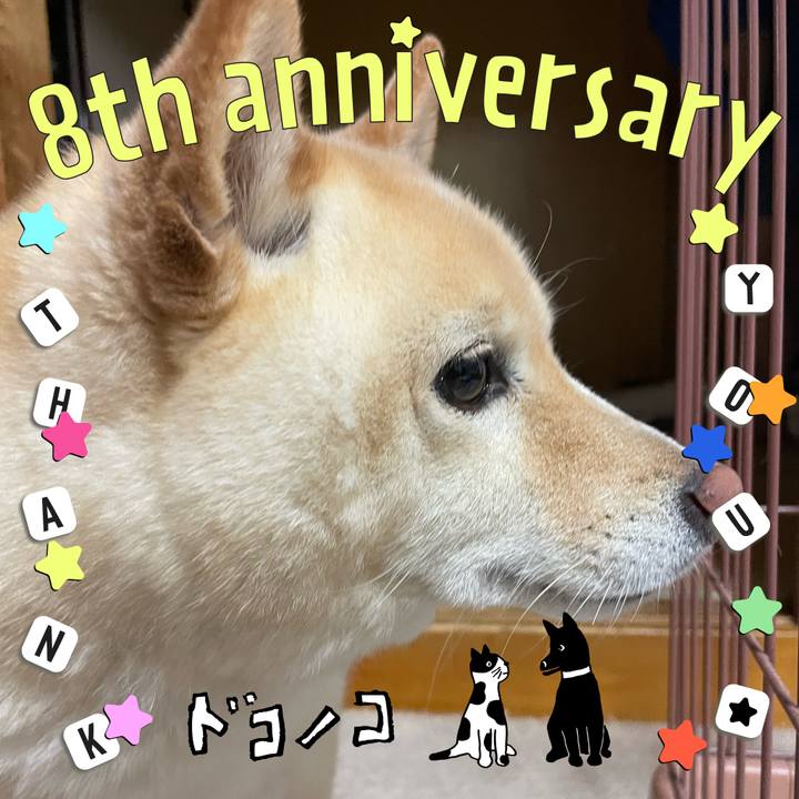 D8515087 500a 4d94 8f97 2dd420df137a 1717678504534