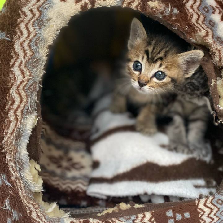 D8516722 537b 48fc 87c7 182b3aecc165 1620348008988