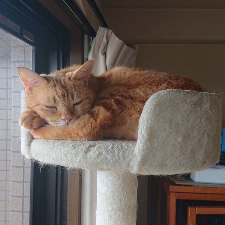 D85197d6 7169 4ec1 9843 73a2f6cc580e 1600579704577