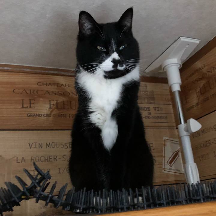 D851d801 4917 4542 a718 10c8eb4566a9 1611803725654