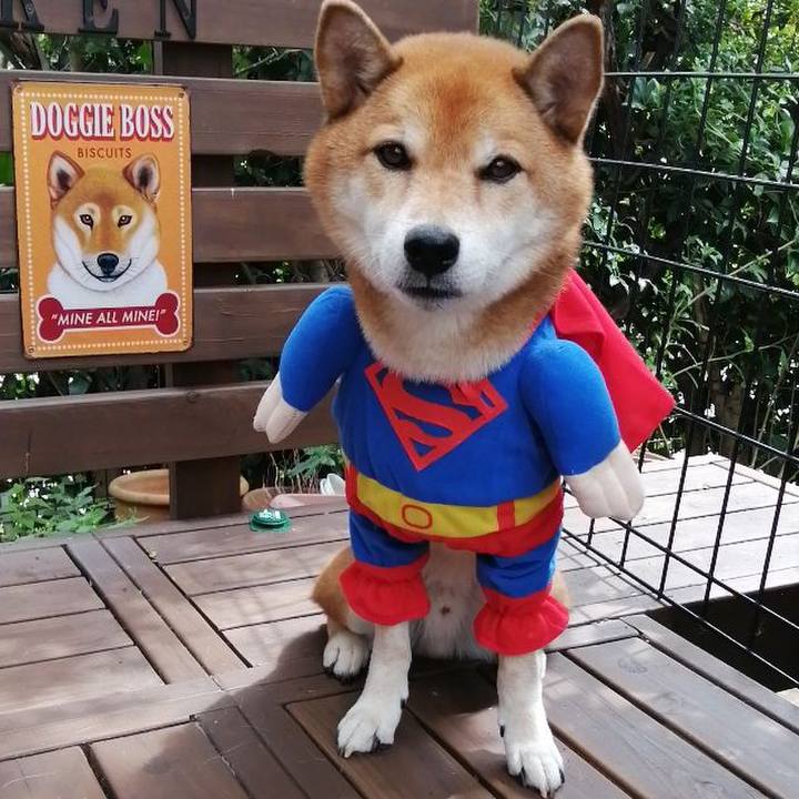 D851e9d4 8ead 4935 95b4 0174dd4e363c 1631506939527