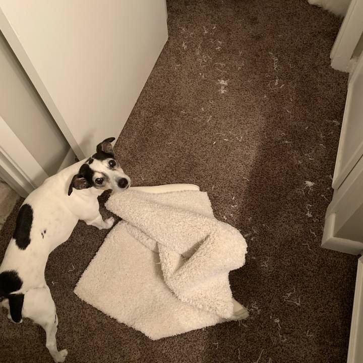 D851f6a9 7a0f 42ca a11c 13c5d1d82123 1590012429733