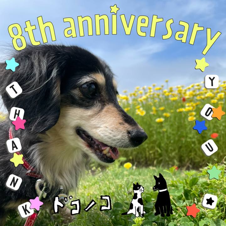 D852290c 9125 400a b422 603be7a2415e 1717583860590