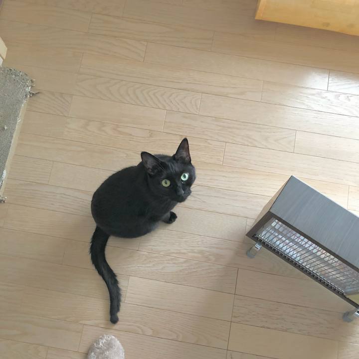 D8522df7 638e 42c1 8e3f 2cee1d037a11 1611483054284