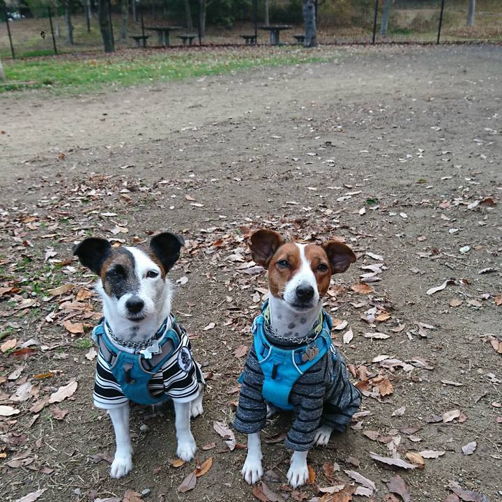 D85255ef 9a1d 4b49 83f2 ddc9acdc975b 1605911189042