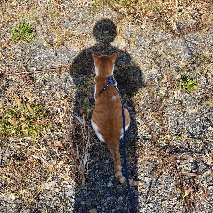 D8525c3d 03e3 4edb b686 ca4d9187cc4d 1540441584796