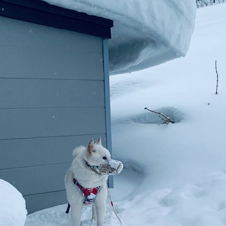 D8527035 b012 47f6 bb6f f0010d99c077 1612478156050