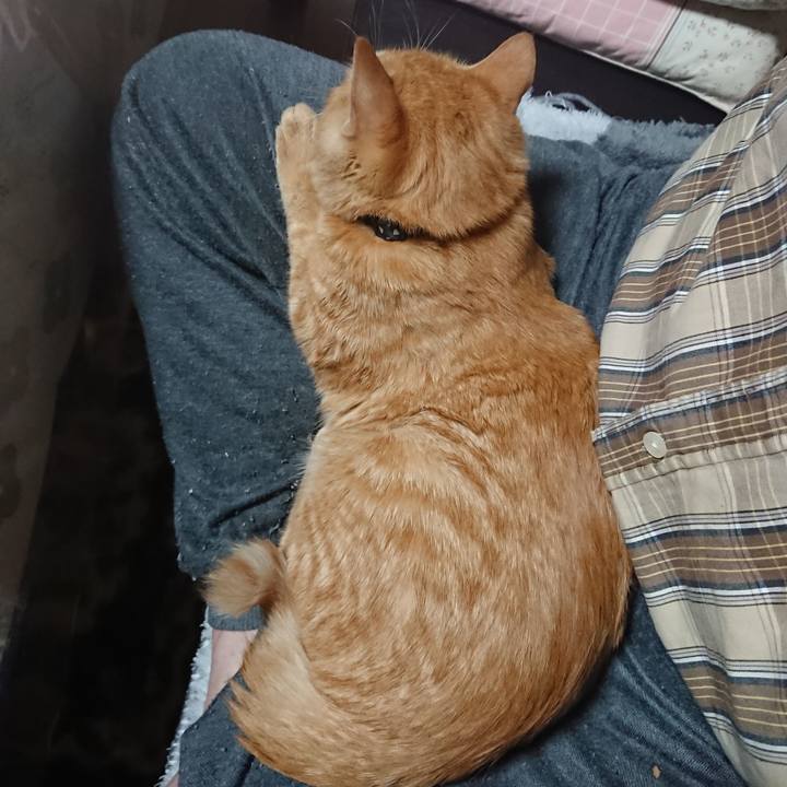 D852ad93 3df9 497c acb7 6eca5c0aae1a 1636838410843