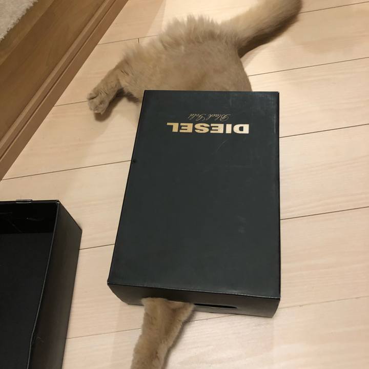 D852b8ef 5942 473f 980a 7950851b49dd 1588481853487