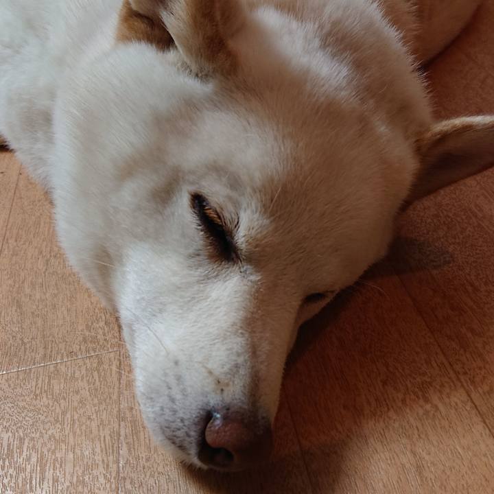 D8530754 de5c 415c aabc a703ab342f6c 1577787443344