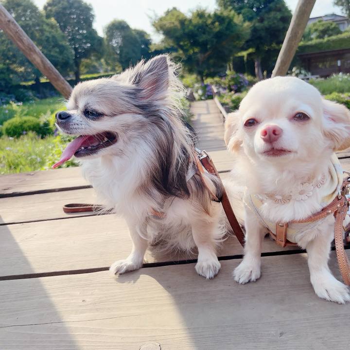 D8531119 7f8e 4e6c b528 67b9ba2deb28 1687319830029