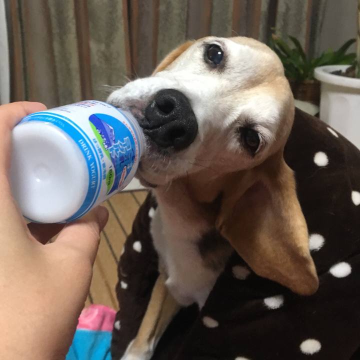 D8532ac9 8906 4873 812d 939574c0180d 1508749854910