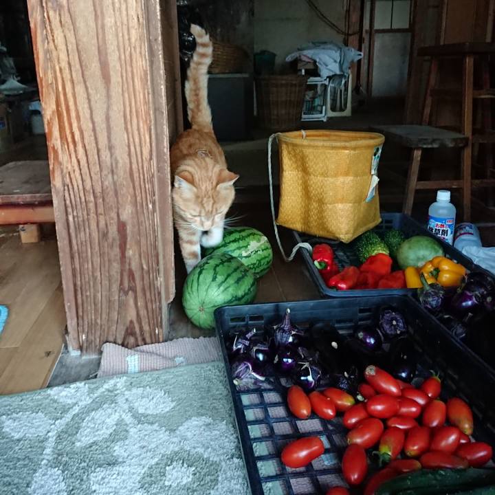 D853305b 17c8 4ca9 9749 a99f2c884e65 1567762538859