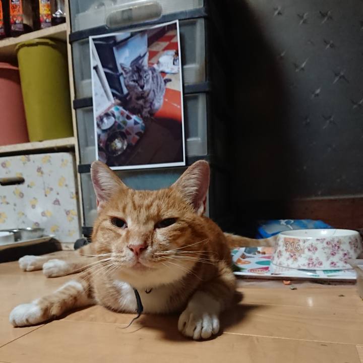 D8535b02 c952 42b7 bbc1 b6a94f241d95 1600461371770