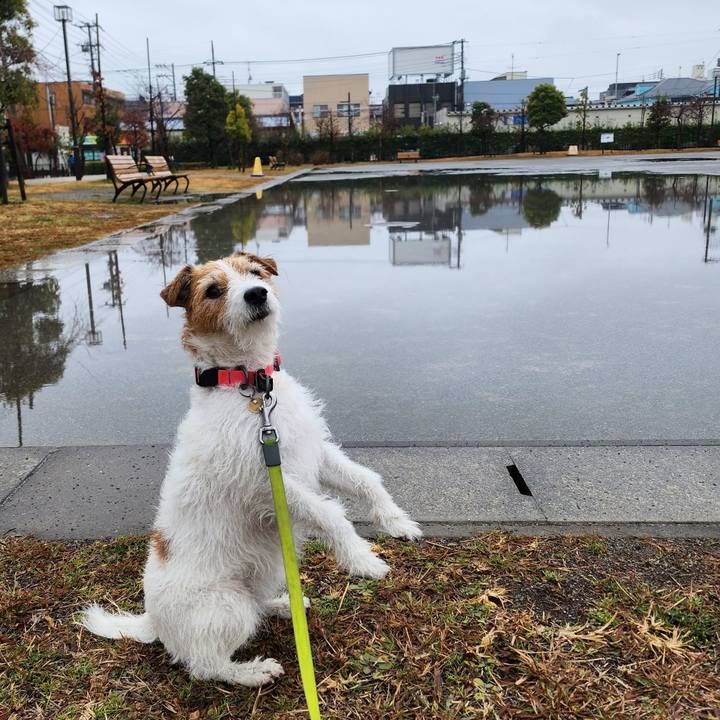 D8536ed9 6ee7 4b01 b92c 7d2817d3b9e8 1705820478297