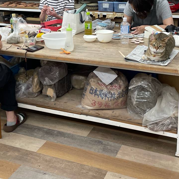 D8538b75 b86a 4d43 9343 6037e390b6b4 1691156730442