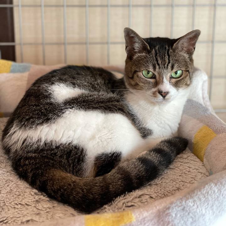 D8539744 7714 4171 bbdb 9656c41c605b 1626747230588