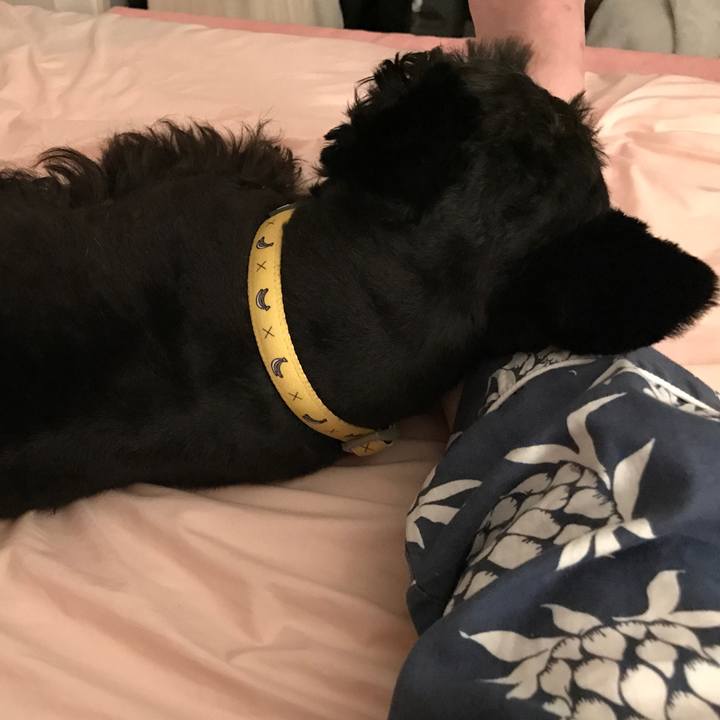 D853bf1a c0b6 4f29 9c04 5309dc3e3c94 1561570302373