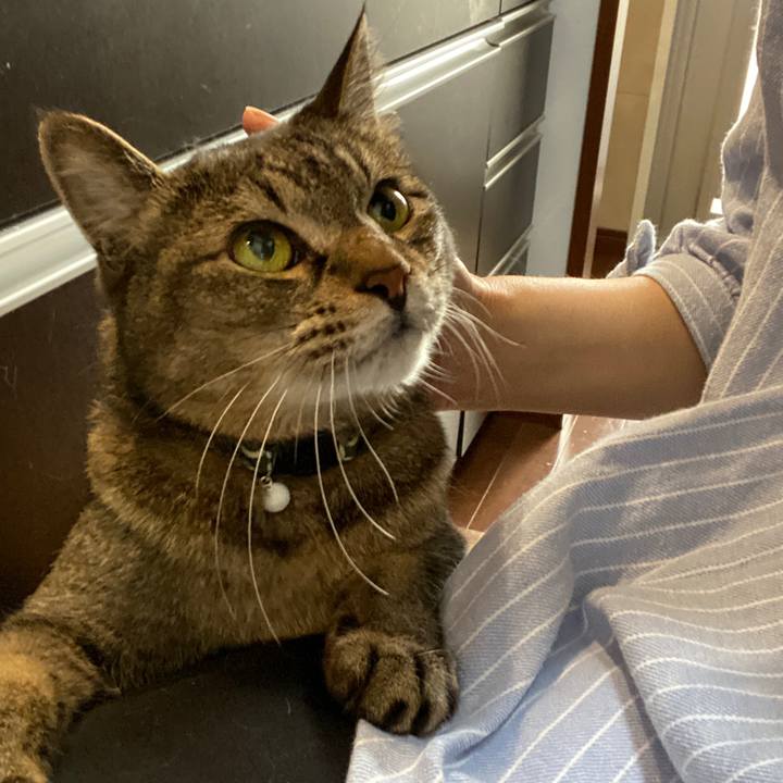 D853e380 b76f 4ad7 95c6 e58ad0c81f7c 1653199035804