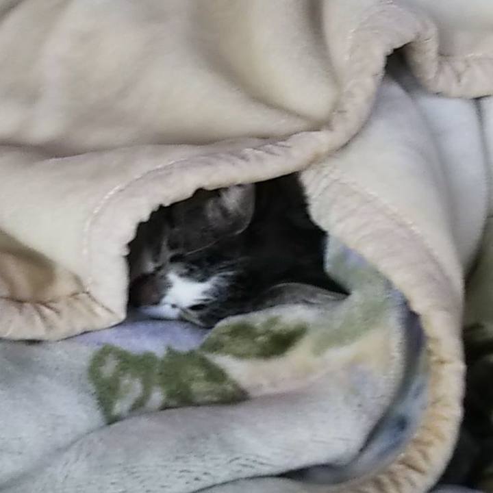 D853ec89 bd53 48a1 9776 c6db4b1a52b9 1603410970458