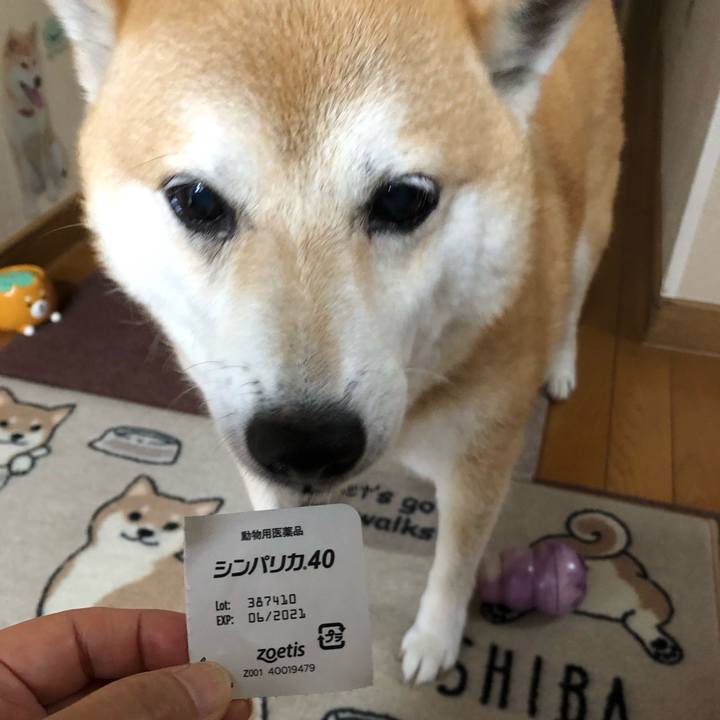 D853f225 f85c 4e99 ae3a 7f3fe137013a 1593946257420