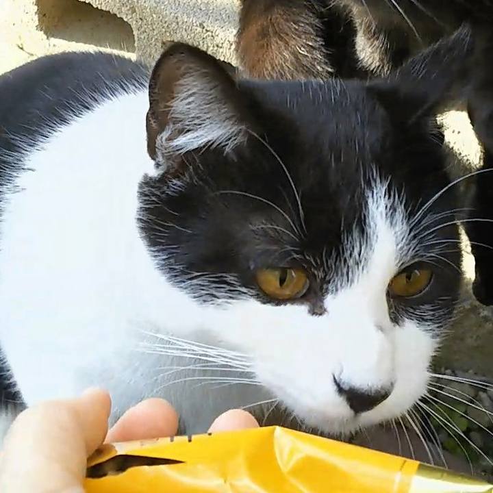 D8540640 a158 413e b994 d551c768291e 1546315018732